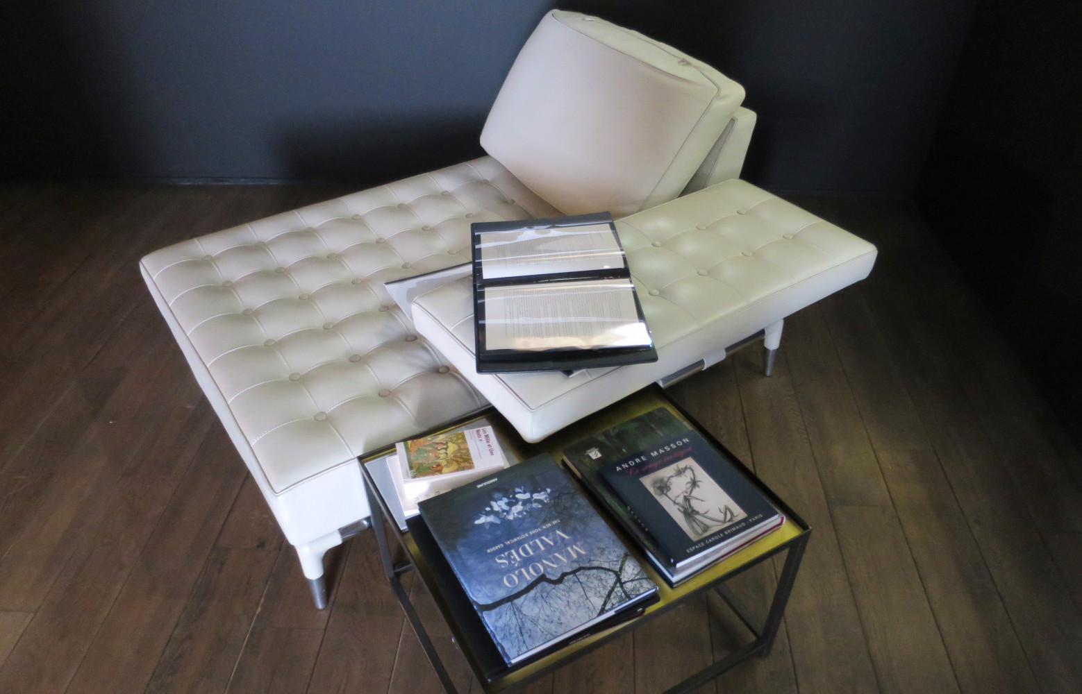 Un îlot de cuir de Starck (Cassina, 2007) permet de feuilleter des livres sélectionnés avec soin.