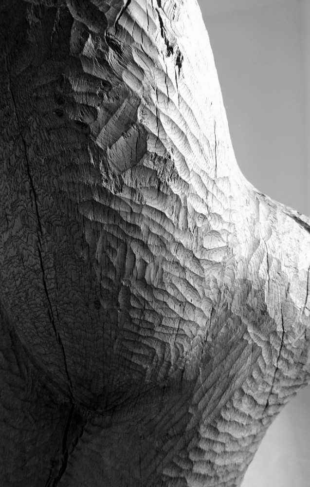 In my father’s hand (2016) de Noé Duchaufour-Lawrance. Tirage contrecollé sur Dibond. Avec l’aimable autorisation de l’artiste.