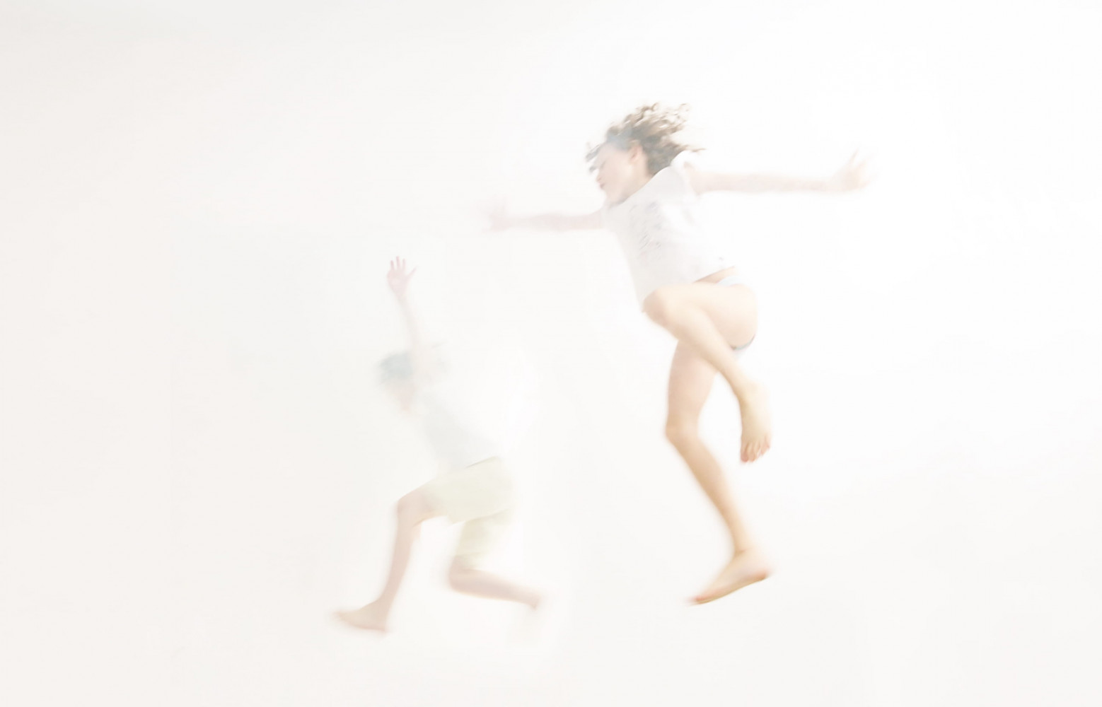 Stellaria Solaris (2016) de Constance Guisset. Tirage contrecollé sur Dibond. Avec l’aimable autorisation de l’artiste.