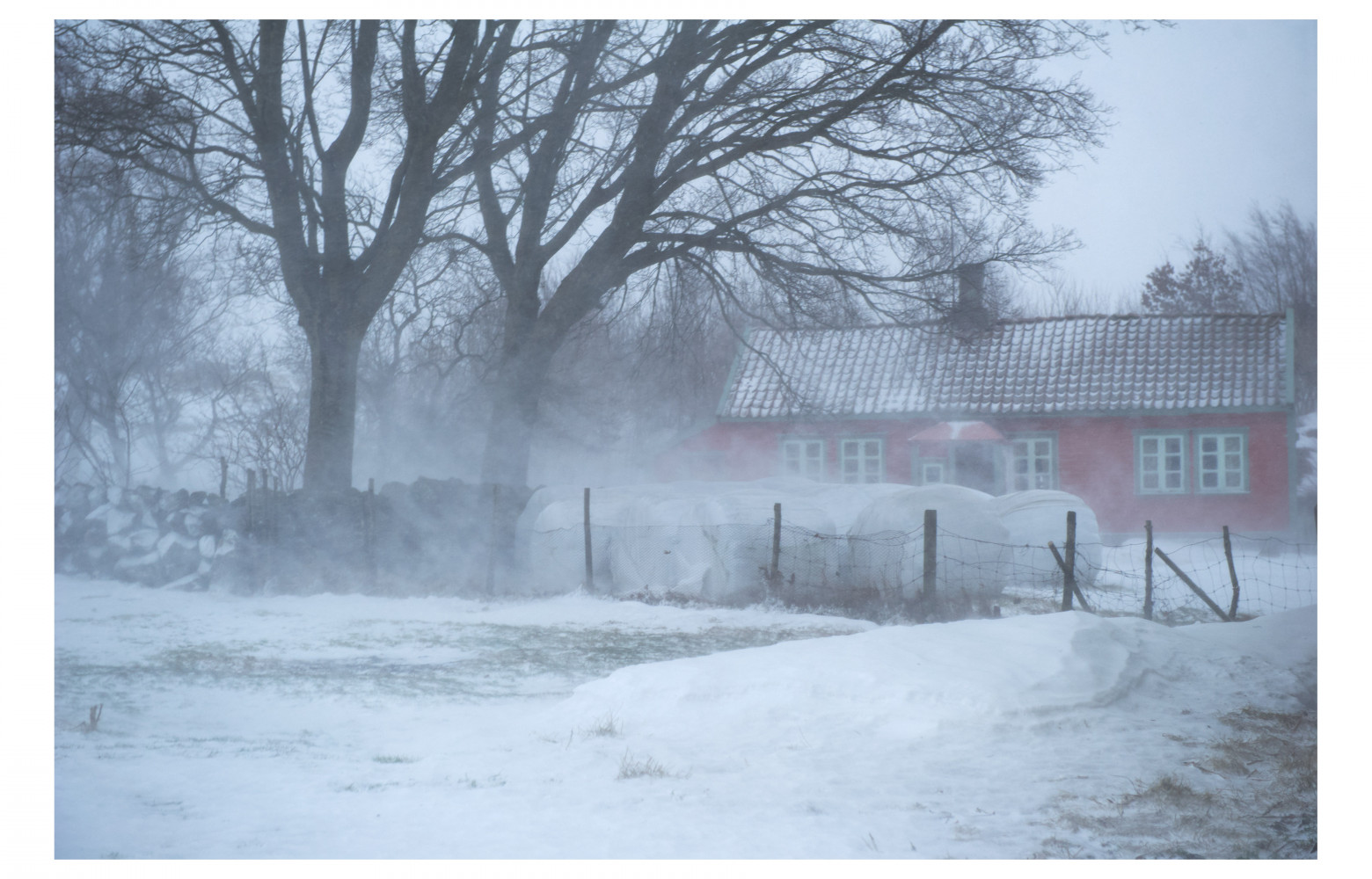 "Edvards House." de Elin Høyland.