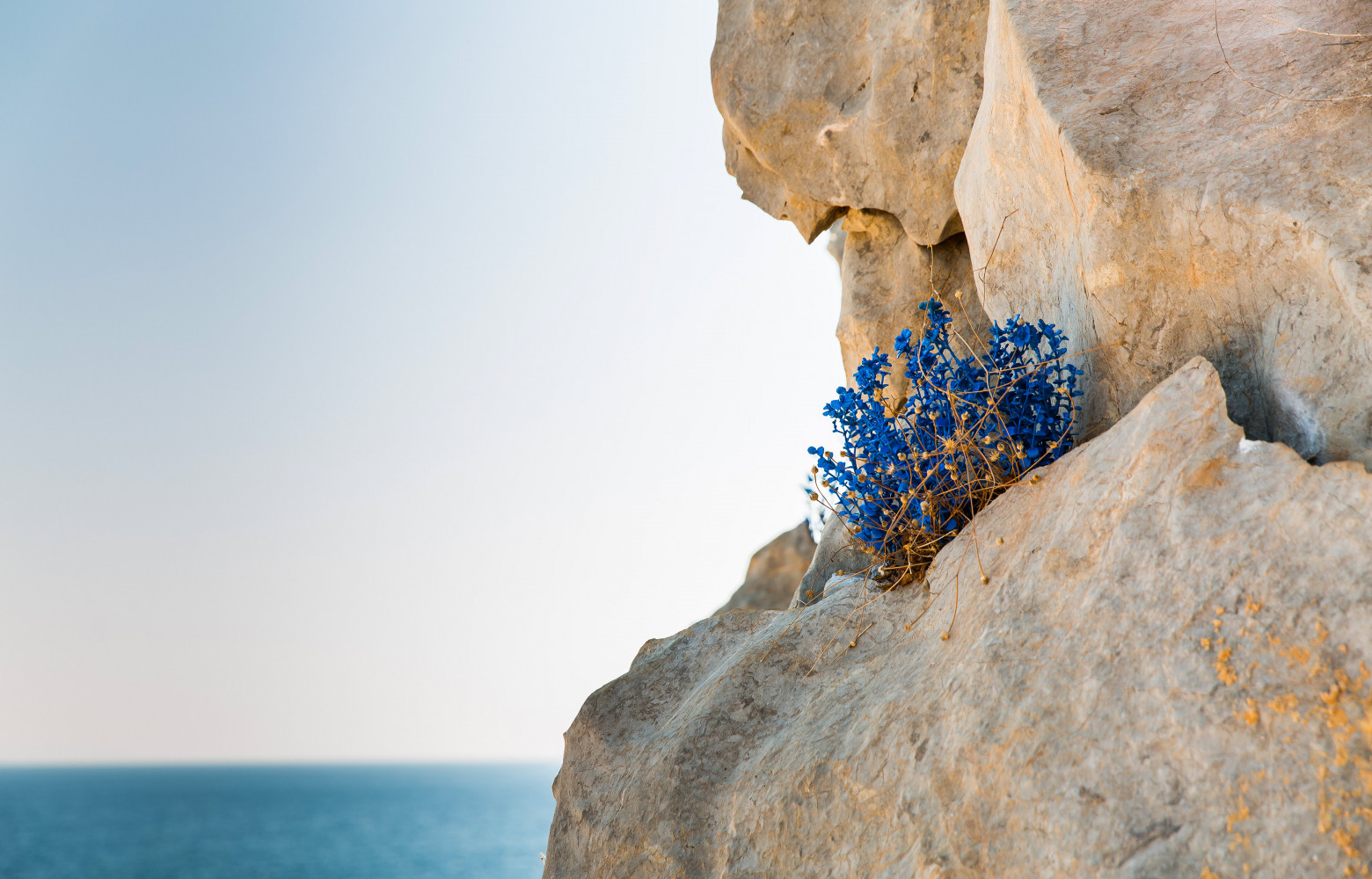 Détail de l’œuvre de Maria Tsagkari, The Blue as the New Green