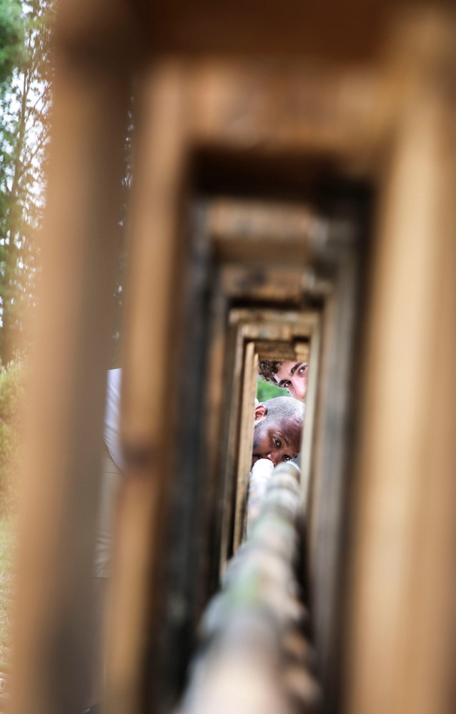 Derniers alignements…