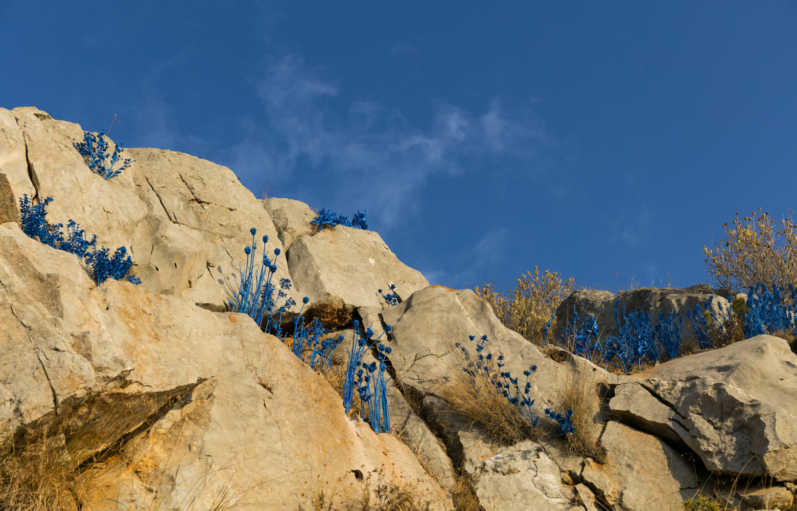 Détail de l’œuvre de Maria Tsagkari, The Blue as the New Green