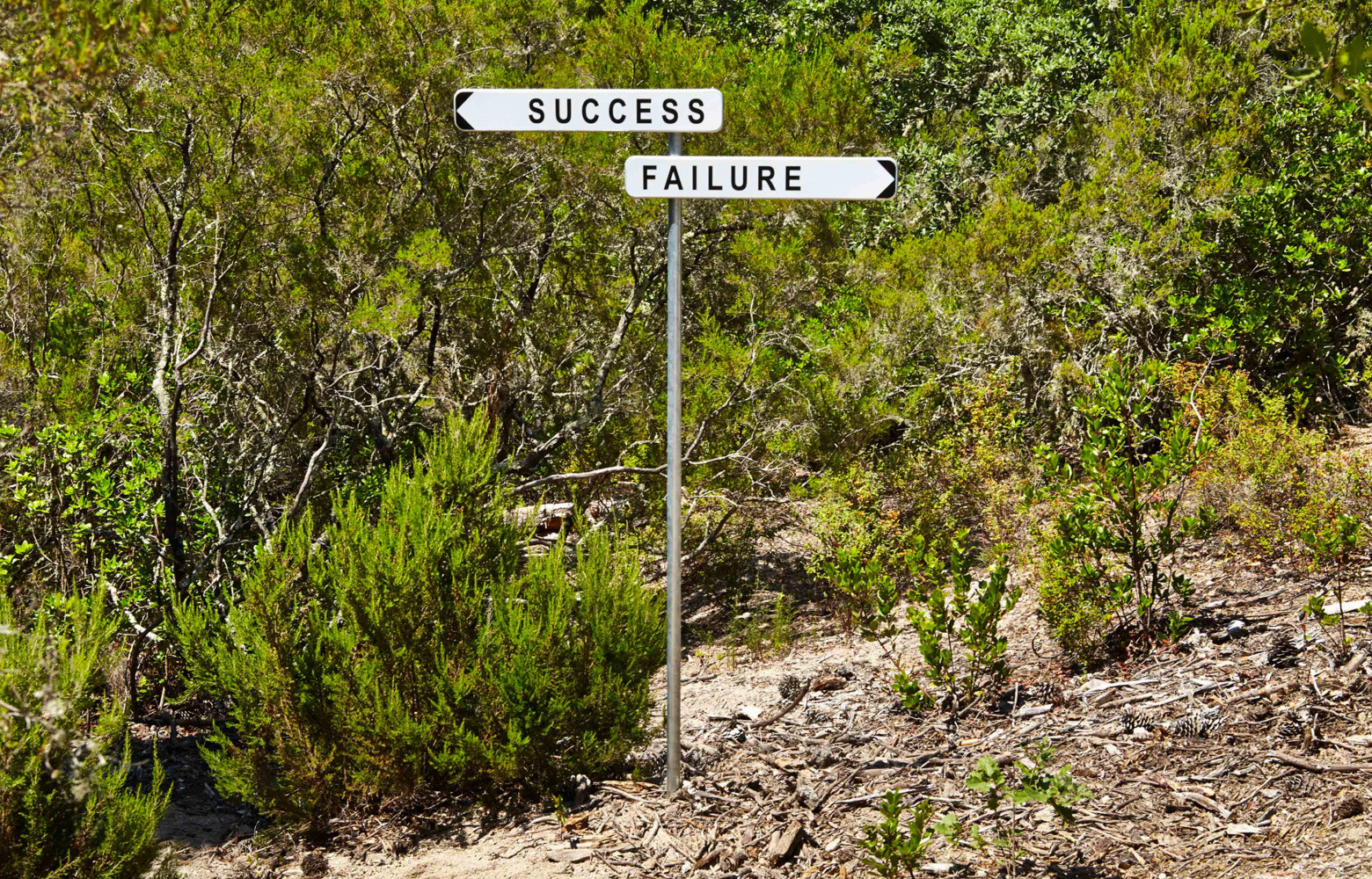 Success Failure (Blue) (2014) de Gianni Motti