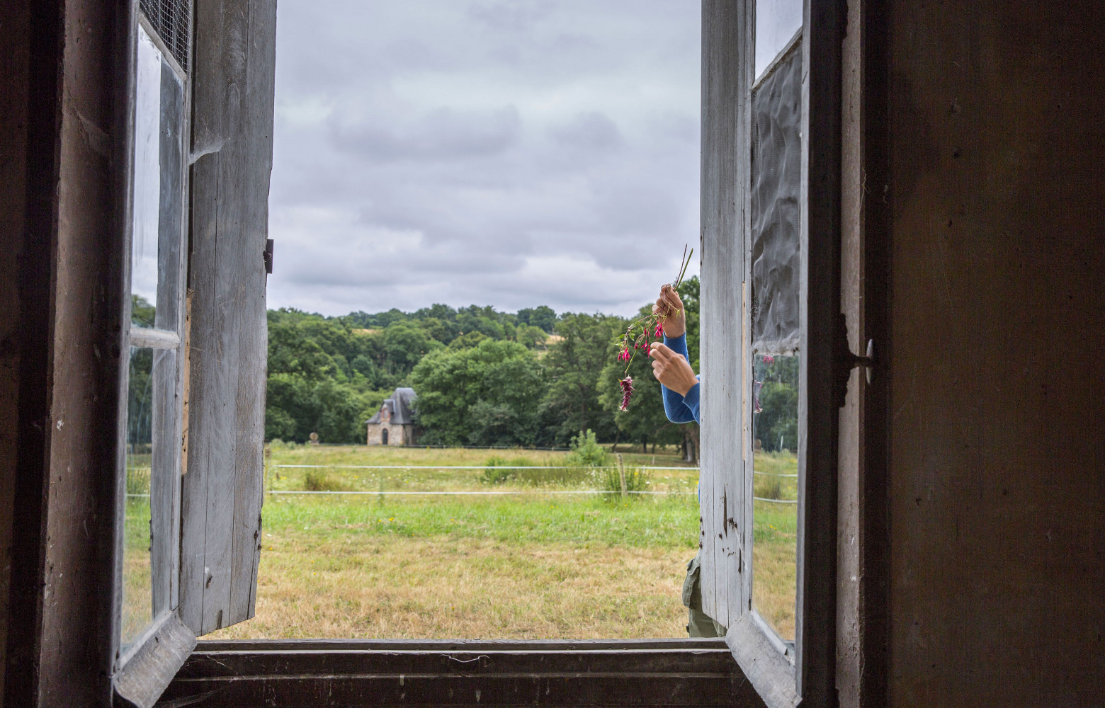 Une fois le vase réalisé, ne reste plus qu'à trouver la plante pour l'habiter.