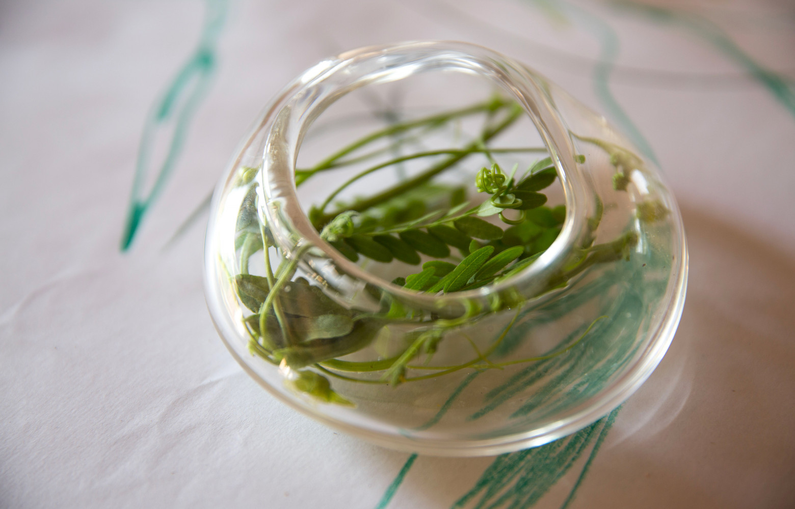 Ce pot a déjà trouvé son occupant.