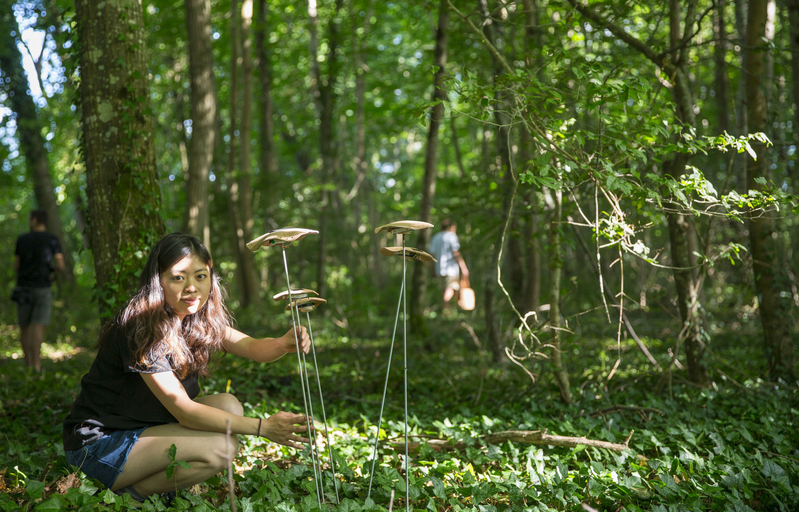 Ici on ne cueille pas les champignons... on les plante.