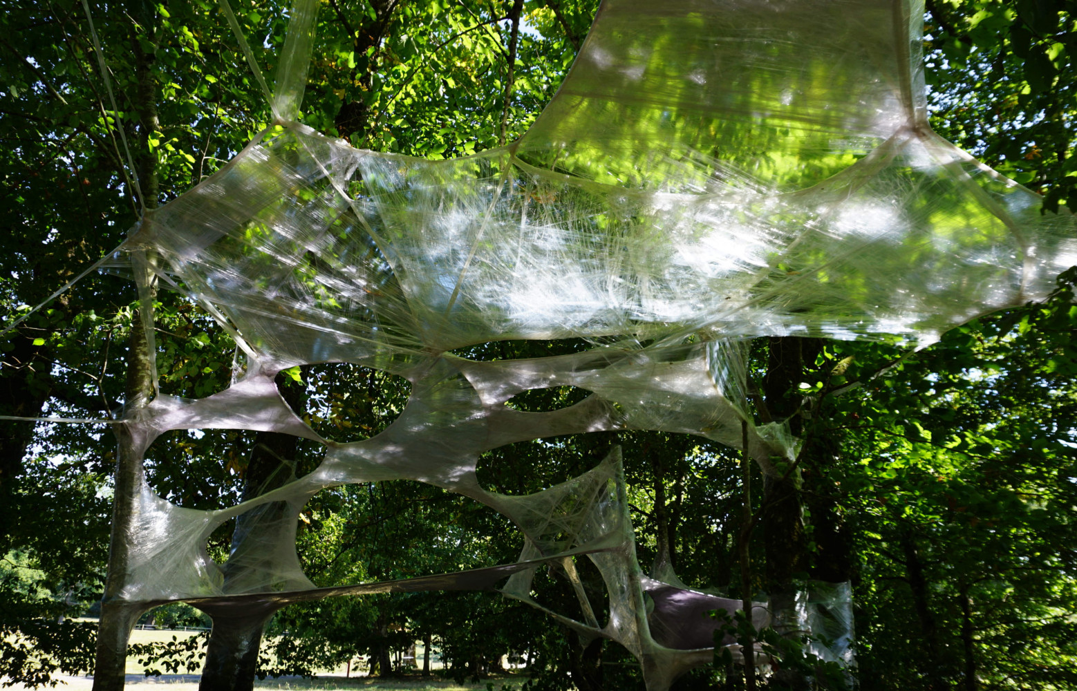 La structure en film prend forme entre les arbres…