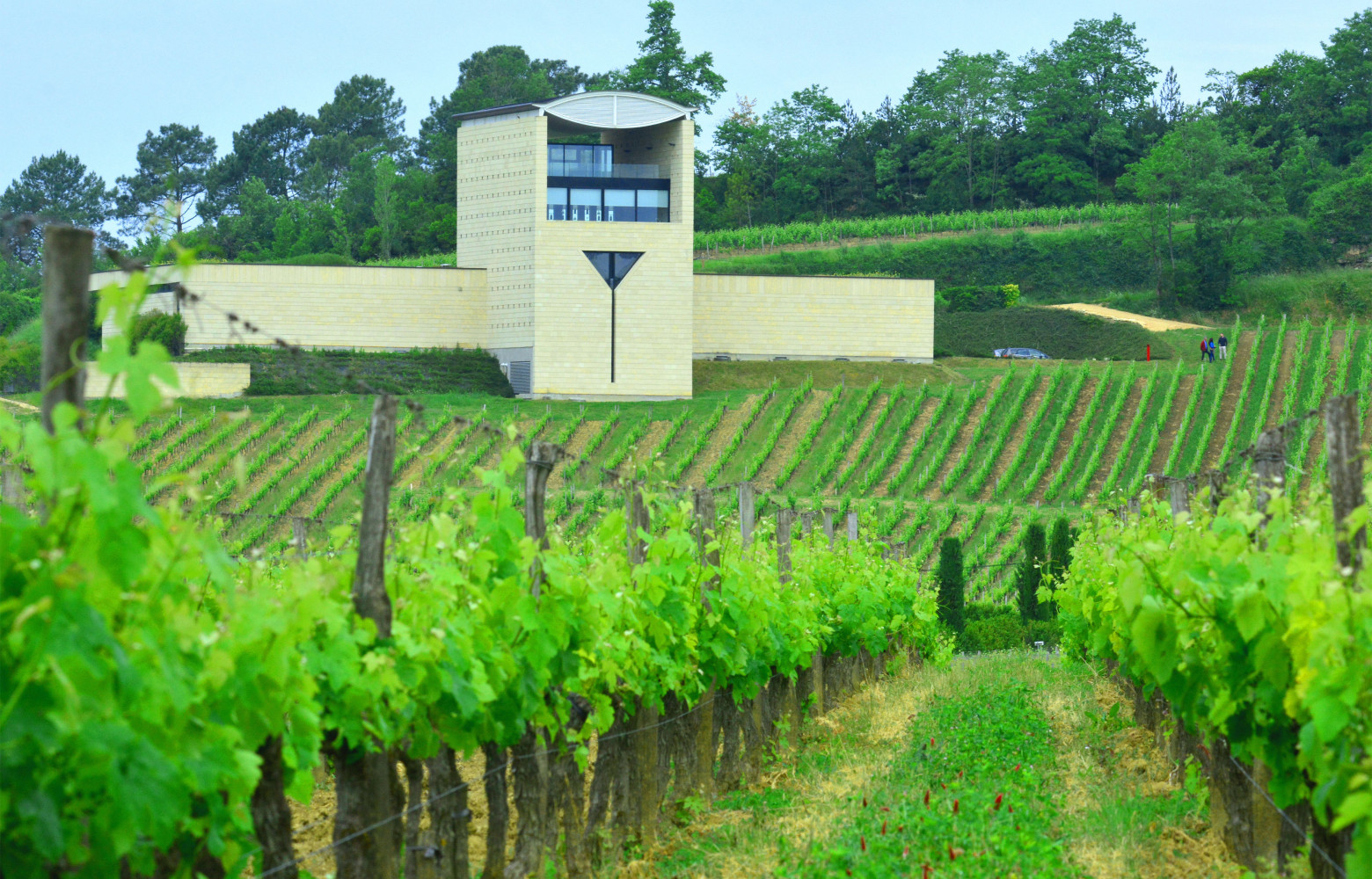 Constitué de 37 hectares de vigne, le château Faugères, à Saint-Émilion, a été acquis par Silvio Denz,...