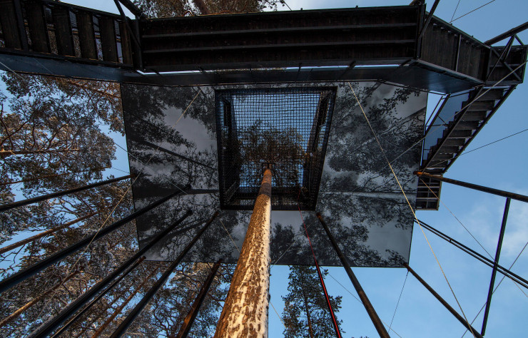 Une photographie en trompe-l’œil transforme la plateforme en forêt de pins.