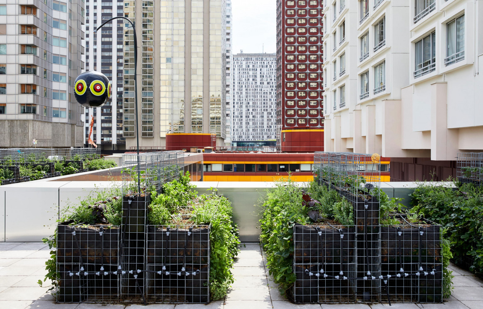 Sur le toit, a été installé un vaste potager bio qui produit fraises et salades (entre autres…)...