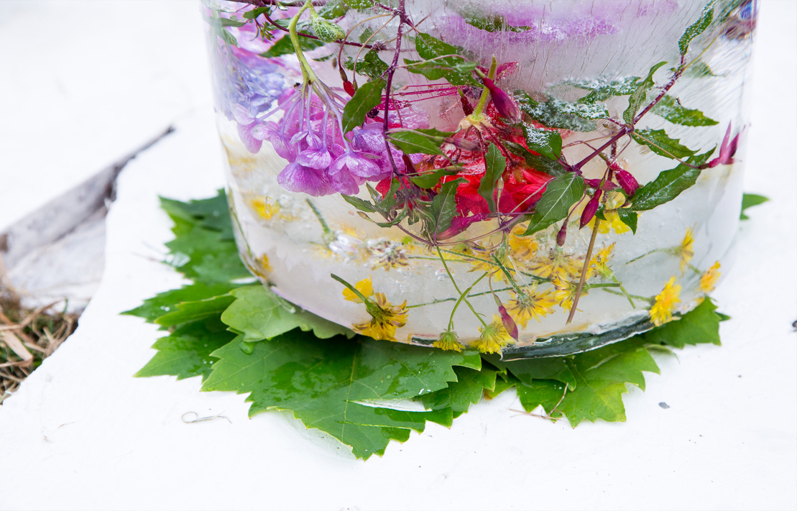Des fleurs parfument ce morceau de glace qui a été utilisé pour la préparation d'un thé taiwanais...
