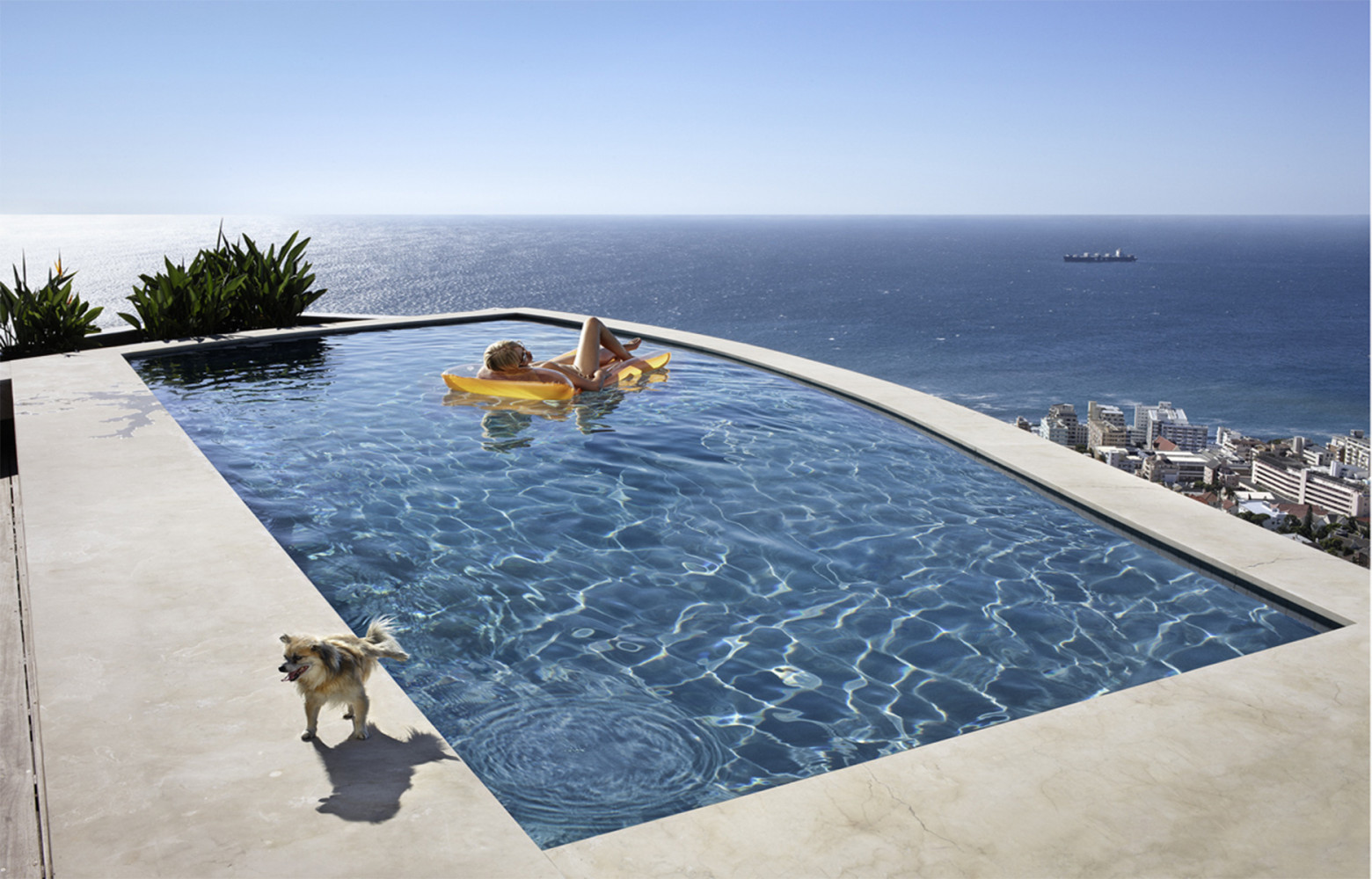 Christoph Martin Schmid, Pedigree Pond. La piscine comme signe extérieur de richesse : Christoph Martin Schmid s'amuse...