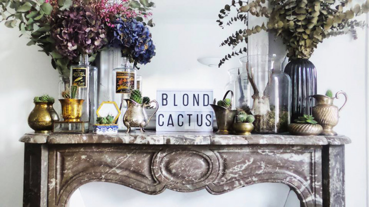 Dans leurs pots anciens, les cactées de The Blond Cactus sont autant de pièces uniques.