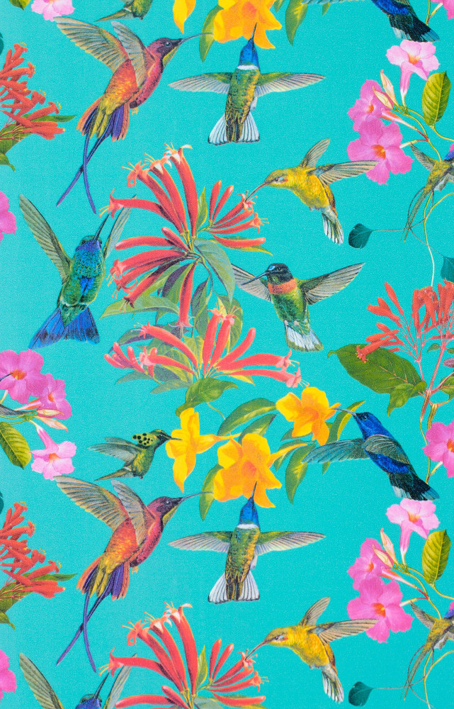 Papier peint Colibri bleu (Chantemur).