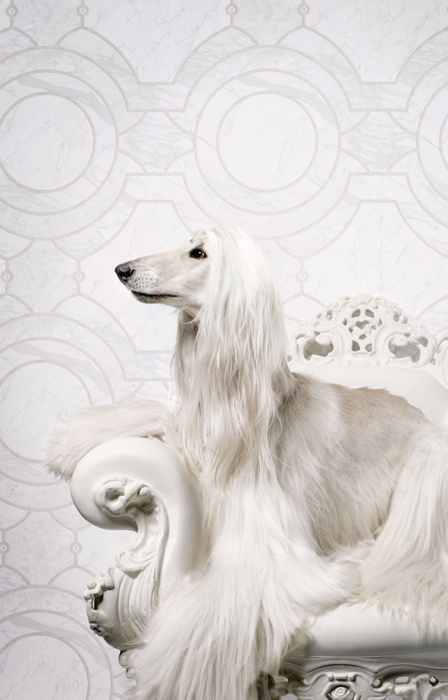 Papier peint 218634, collection « Neo Royal », de Marcel Wanders (BN International).