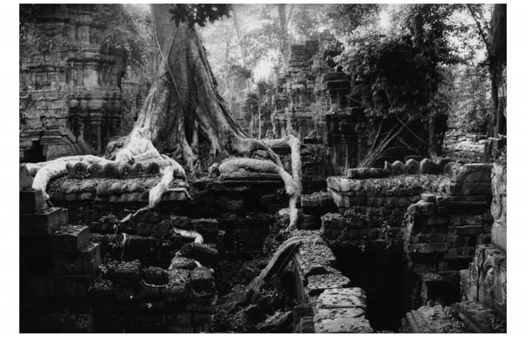 Angkor, Cambodge (1992) de Marc Riboud.