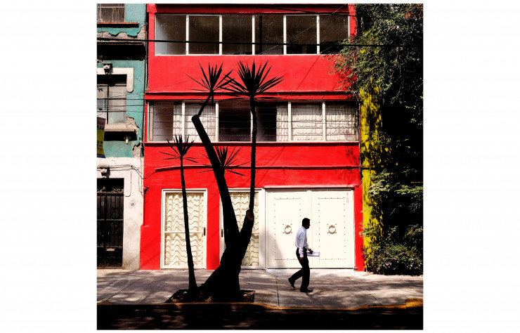 La verdure et les murs colorés ponctuent les rues du quartier de Condesa.