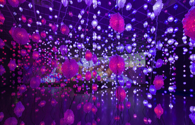 Pipilotti Rist, Pixel Forest, 2016. Vue de l’installation, ‘Pipilotti Rist: Pixel Forest’, New Museum, New York, États-Unis, 2016.