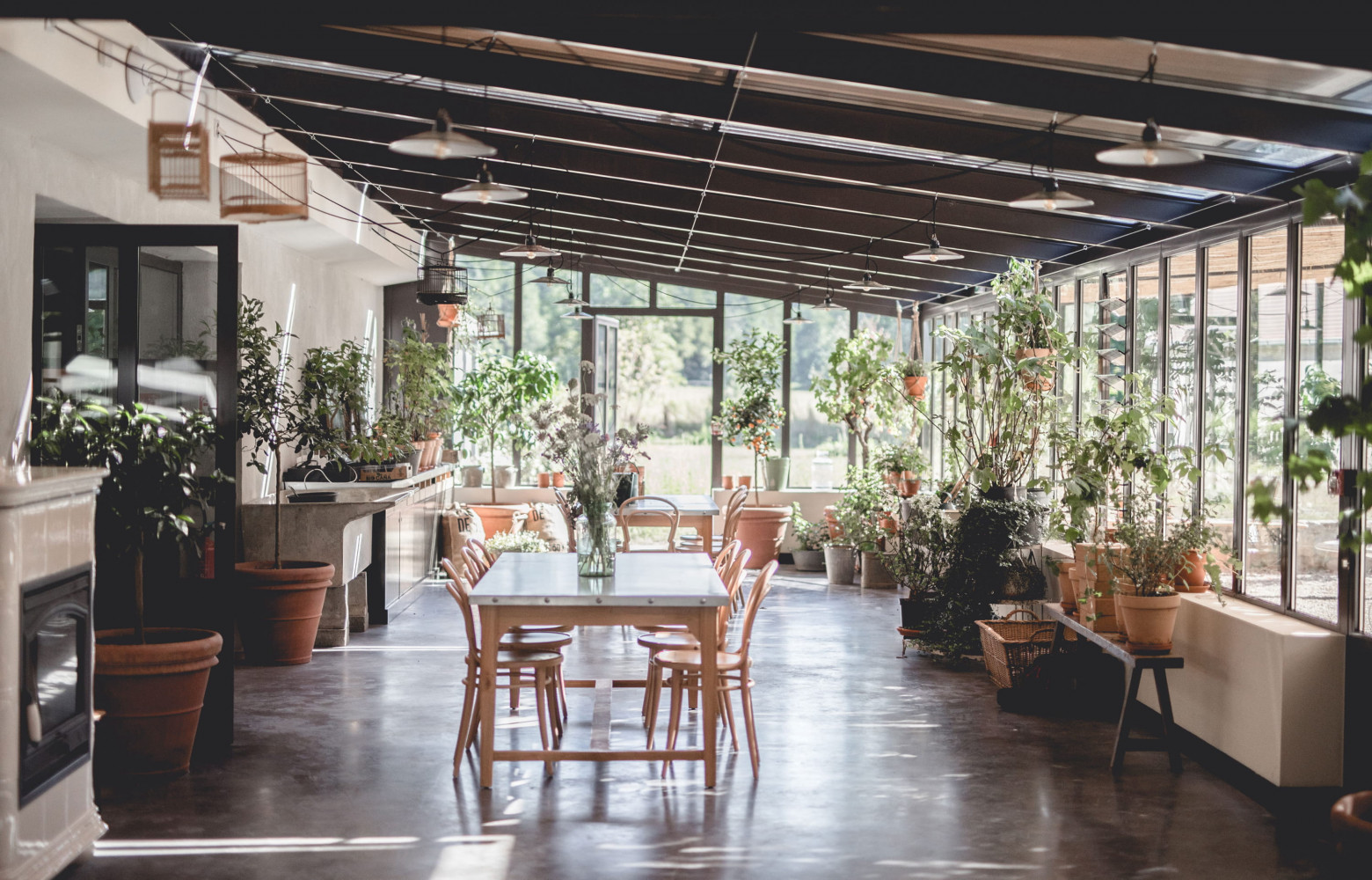 Dans la salle de restaurant/petit déjeuner, le végétal est omniprésent.