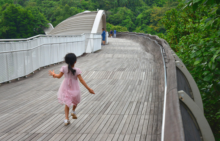 Construit en acier et en bois à 38 mètres de haut, le pont Henderson Waves relie le Mount Faber Park au Telok Blangah Hill Park.