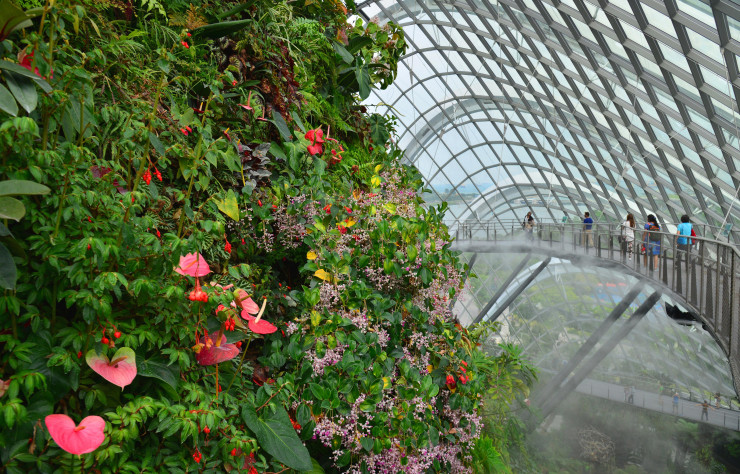 Gardens by the Bay est la vitrine verte de Singapour. Ce parc de plus de 100 hectares accueille le Flower Dome, qui abrite une flore méditerranéenne, et le Cloud Forest, dont la collection d’orchidées attire une foule nombreuse.