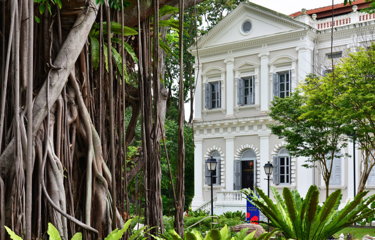 Les habitants de Singapour vivent tous à proximité de havres végétaux, parfois historiques comme ici les Archives nationales.
