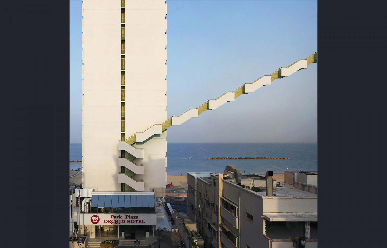 « Orchid, Tel Aviv (2010). »