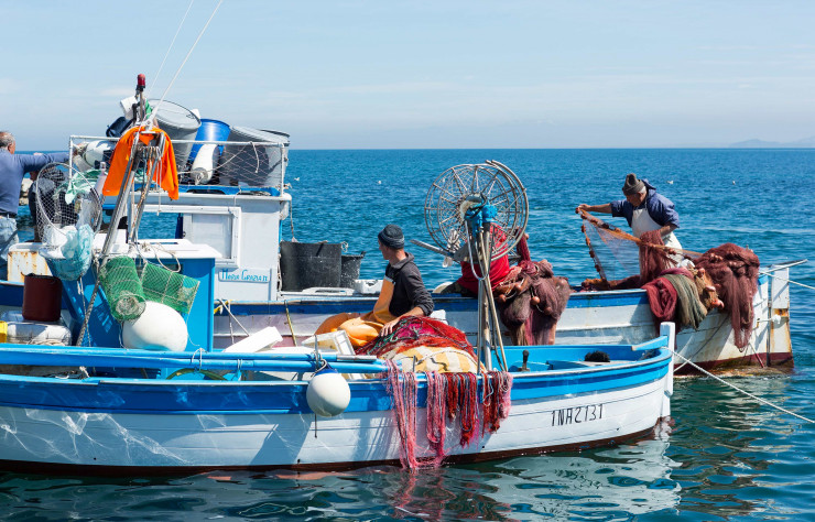 Les pêcheurs locaux alimentent en poissons méditerranéens les tables des restaurants qui bordent la côte.