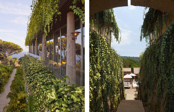 Planté en cascade le long des bâtiments, le végétal devient un élément à part entière de l’architecture.