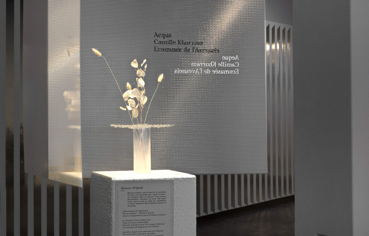 « Mousse d’Opale » se dévoile actuellement à Paris, au sein de l’exposition « Incubateur French Design 2019 », présentée par le VIA.