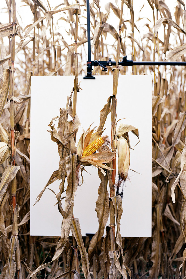 Monsanto, une enquête photographique.