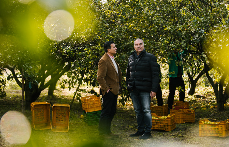 Pour la Bergamote de Sicile, Guerlain travaille avec la même famille de producteurs depuis trois générations.