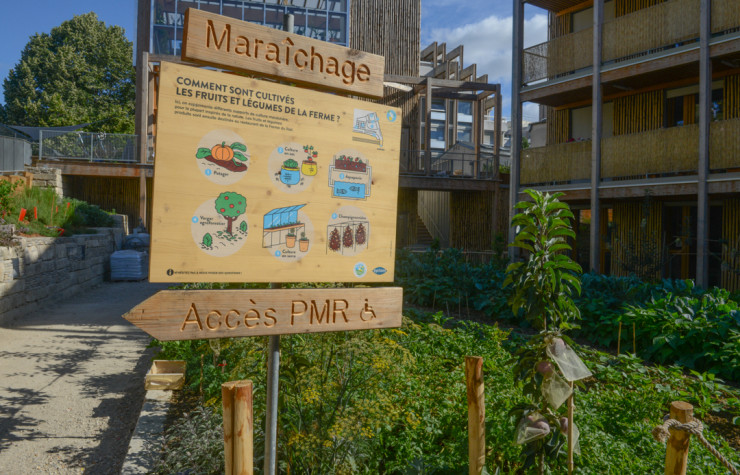 Première ferme de polyculture dans la capitale, La Ferme du rail est un projet fondé sur la réinsertion sociale. Son architecture se développe autour d’un potager qui emploie une partie des hôtes du lieu.
