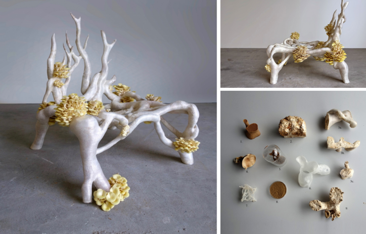 « Mycelium chair » (2012–2018) du studio Klarenbeek & Dros.