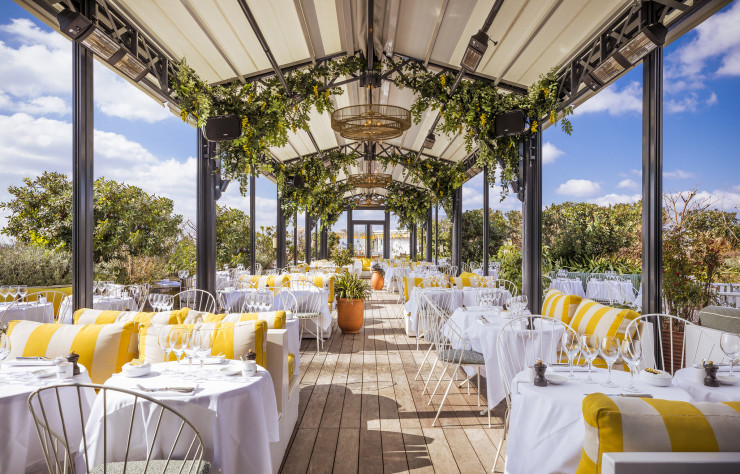 Perruche, une terrasse haut perchée qui fleure bon la Provence…