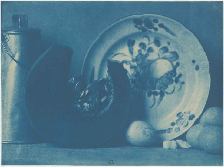 Tranche de potiron, pot à lait, assiette et oeufs. Paris, entre 1848 et 1860. Cyanotype. © MAD, Paris
