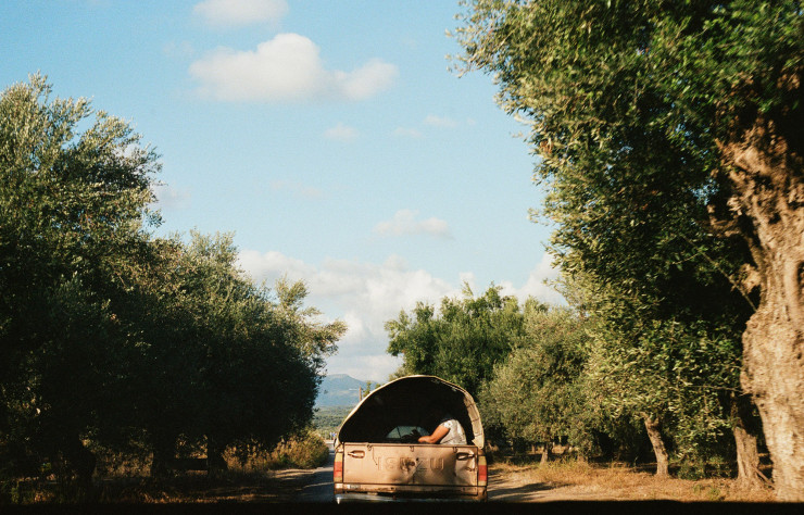 On croise aussi sur notre route des camions prêts à ramasser les premières olives.