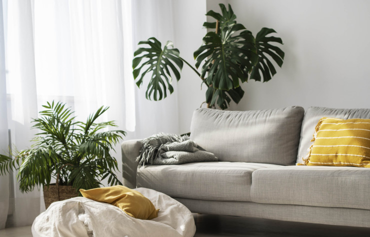 Des plantes vertes apportent une touche de nature et de fraîcheur à votre salon cocooning.