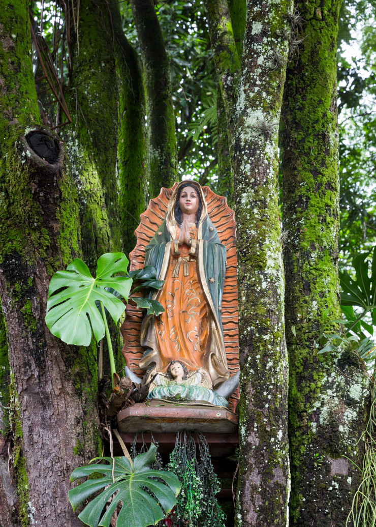 Dans la jungle urbaine d’El Poblado, une potale (une niche) avec sa statuette de la Vierge, accrochée à un arbre.