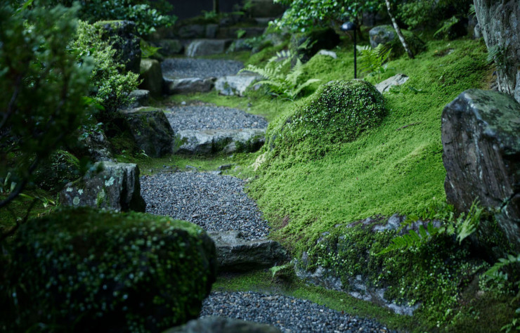 Hiroki Hasegawa, à l’hôtel Hoshinoya Kyoto, a travaillé la profondeur de champ, organisant les pleins et les vides. Les mousses, les fougères et le dallage de gravier, tel un cours d’eau, invitent l’observateur à une promenade sur un chemin physique ou symbolique.