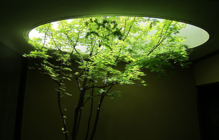 Le « Sun Garden », perché tout en haut du musée d’Art contemporain de Kyoto, soit un arbre et deux roches sur un tapis de mousses, laisse entrer le vent dans la pièce qui le longe (dévolue à la cérémonie du thé) afin de respecter l’esprit des jardins japonais, favorable à la connexion avec les éléments.