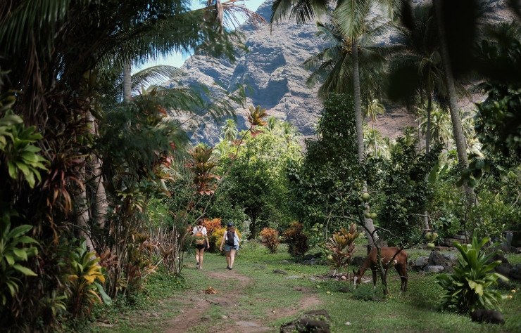 L’île de Nuku Hiva aurait-elle un air de Jurassic Park ?