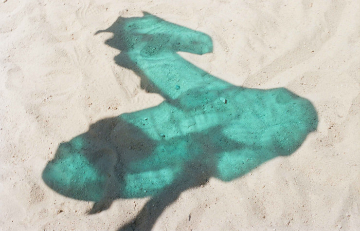 Par jeux de transparence, d’ombres et de lumières, la photographie « For your green eyes only » évoque à la fois les après-midi passées à la plage et tout un imaginaire fantastique avec ce que l’on suppose être un dragon.