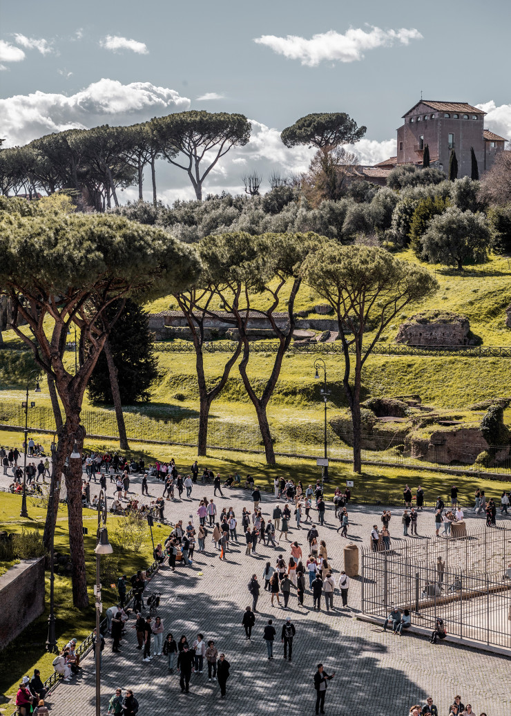 Les pins parasols, dont on peut admirer les rangées aux abords de Rome, sont un autre symbole de la ville.