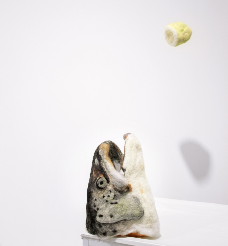 Citron et tête de poisson en feutre de laine par Héléna Guy Lhomme.