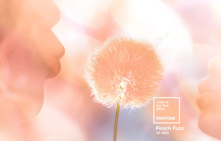 Peach Fuzz, la couleur de l’année Pantone 2024.