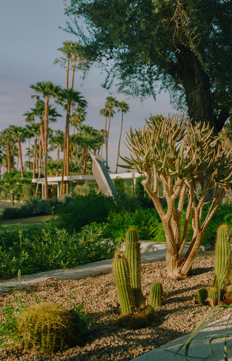 Les cactus, en nombre, rappellent les paysages désertiques de certaines régions de Californie. © Sean Hazen