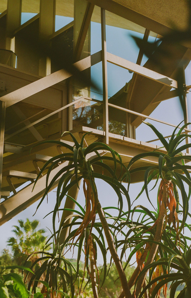 La jungle environnante camoufle avec grâce la structure en pilotis de la maison. © Sean Hazen