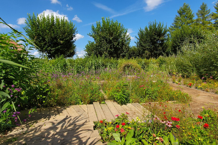 En 2019, Au milieu, le ruban est le premier projet de l’Atelier Biomes, réalisé dans le cadre du Festival des jardins de la Saline royale d’Arc-et-Senans (25).